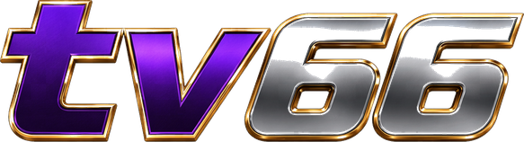 tv66 Logo